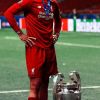 VanDijk.jpg